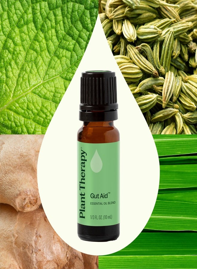 Plant Therapy Gut Aid Essential Oil Blend 10 mL (1/3 oz) 100% Pure, Undiluted, Natural Aromatherapy for Upset Stomach Relief - Image 3